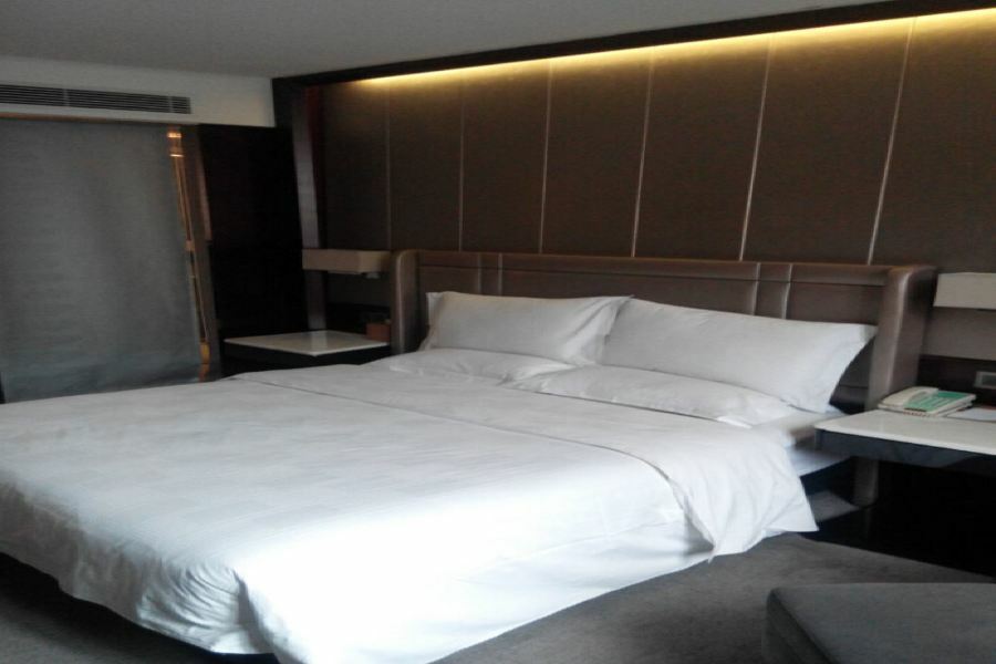 Tibet Minshan Hotel 拉萨 外观 照片